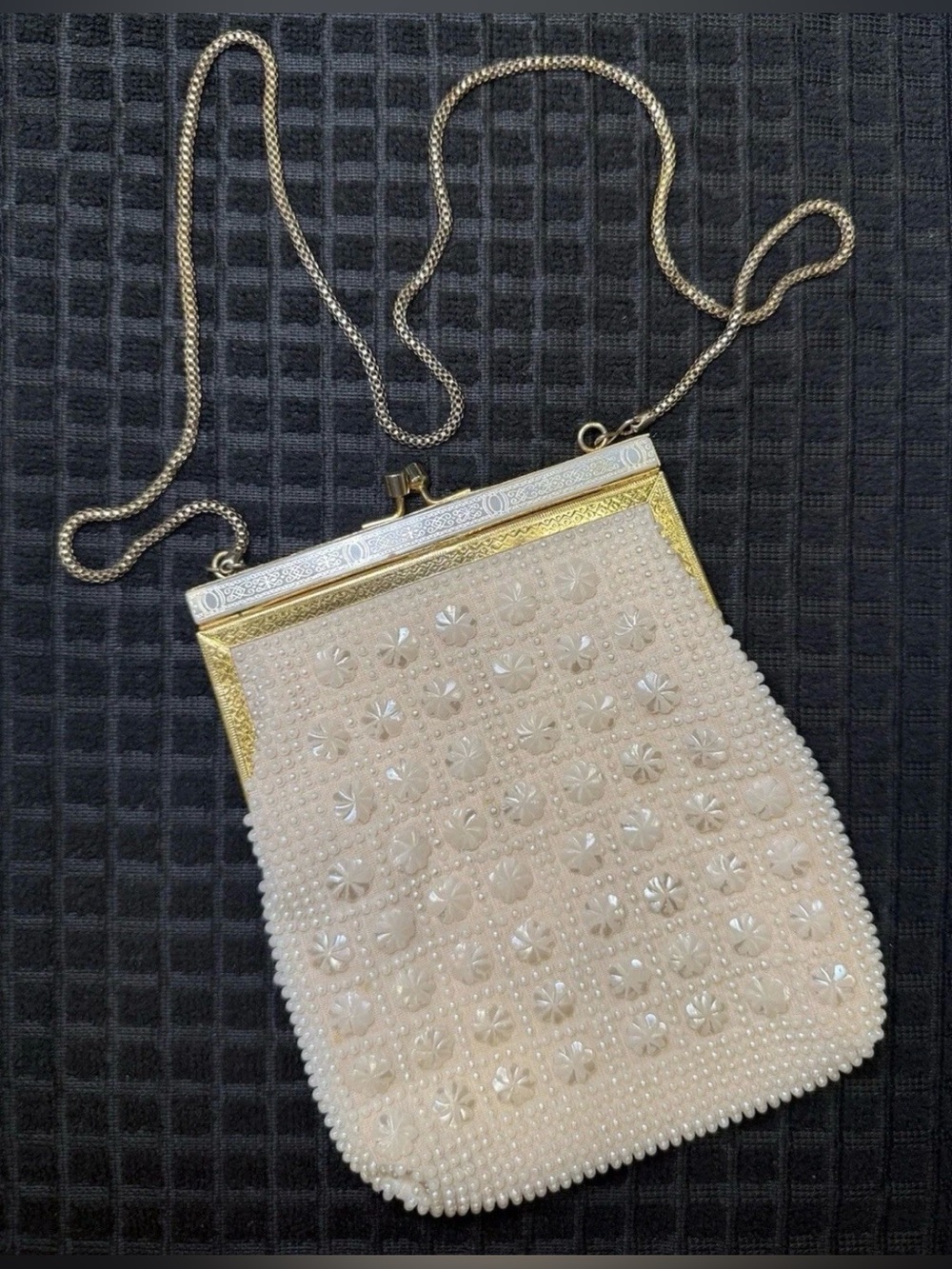 Vintage Evening Bag Ivory Raised Floral Daisies
Shimmery Purse 7x6 Ornate Frame